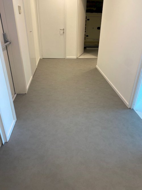 LVT Plank