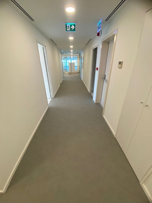 LVT Plank