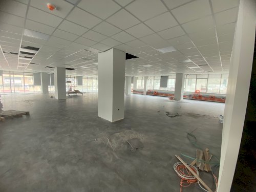 LVT Plank