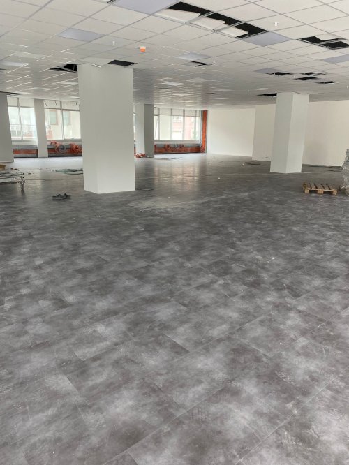 LVT Plank